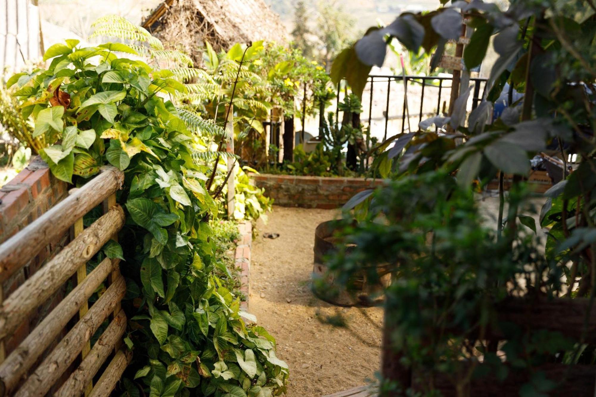 ホテル Sapa Plum Eco House エクステリア 写真